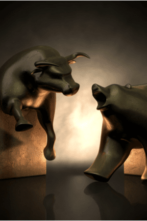 Beren stierenmarkt crypto